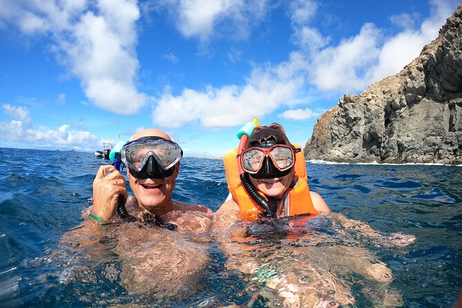 Tenerife: Kayak and snorkel with marine life safari - Gear, safety, and the part where you actually learn