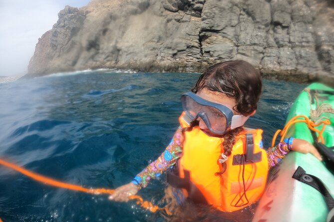 Tenerife: Kayak and snorkel with marine life safari - Marine life safari odds: dolphins, turtles, rays, and fish