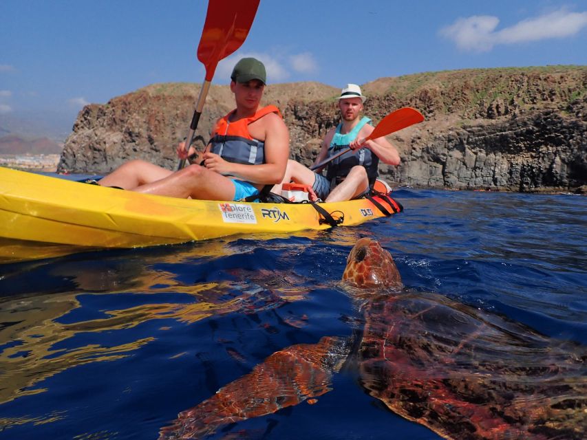 Tenerife: Kayak and Snorkel with Turtles, Wetsuits Included - Why Kayak and Snorkel in Los Cristianos Feels Like Real Wildlife Time