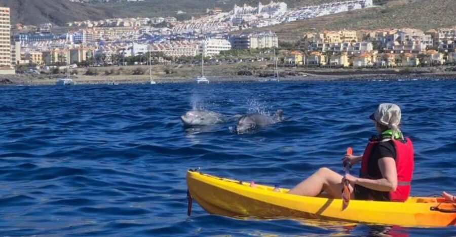 Tenerife: Kayak Safari and Sea Turtle Snorkeling with Photos - The sea cave moment: where snorkeling plans start to click