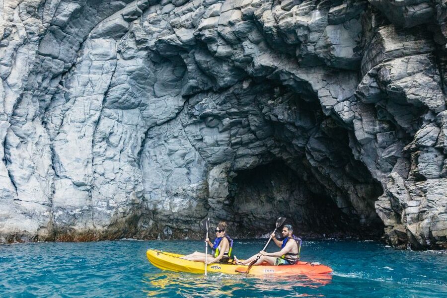Tenerife: Kayak Safari and Sea Turtle Snorkeling with Photos - Guide quality is the real differentiator (Joseph, Jose, Irina, Miguel, Allisia)