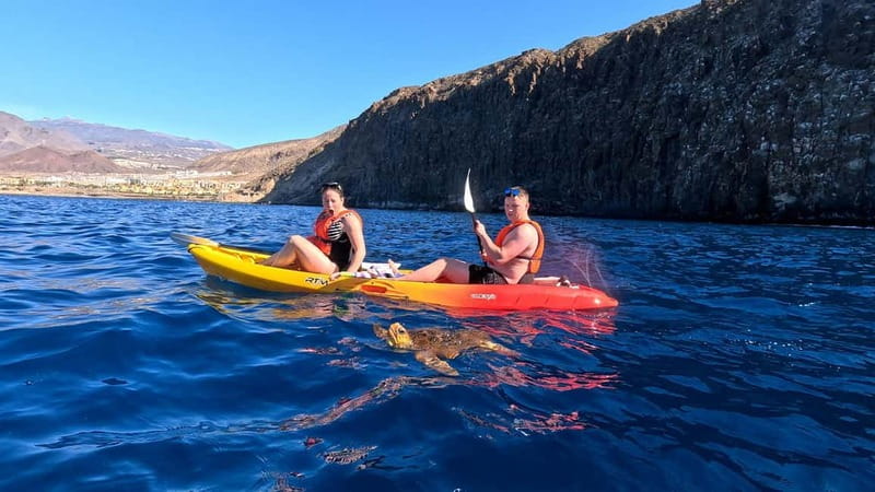 Tenerife: Kayak & Snorkeling Tour - Small Groups - Los Cristianos office first, so you start the tour calm