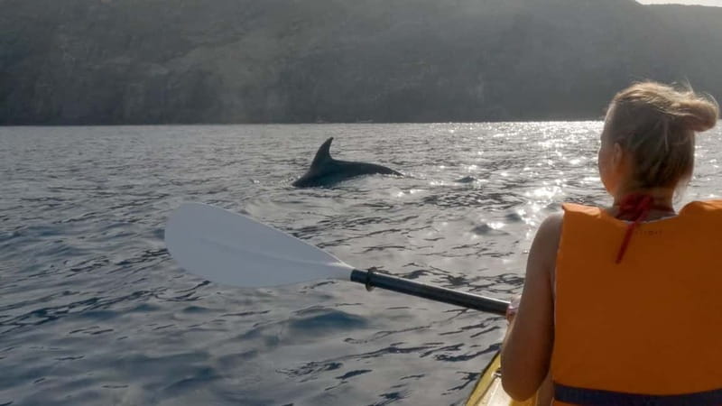 Tenerife: Kayak & Snorkeling Tour - Small Groups - Who should book this Tenerife kayak and snorkeling tour