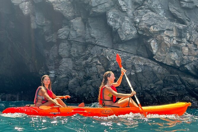 Tenerife Kayak Tour with Marine Wildlife Spotting and Snorkeling - The Route: Tenerife to Palm-Mar, Costa Adeje, and Adeje