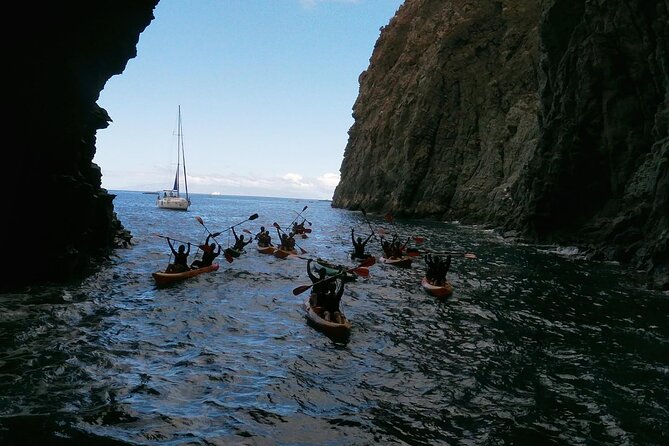 Tenerife Kayak Tour with Marine Wildlife Spotting and Snorkeling - Snorkeling on This Tour: What You Can Realistically Expect