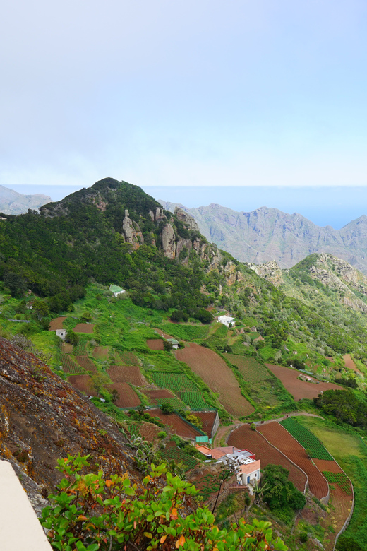Tenerife: La Laguna & Anaga hike - Key things to know before you go