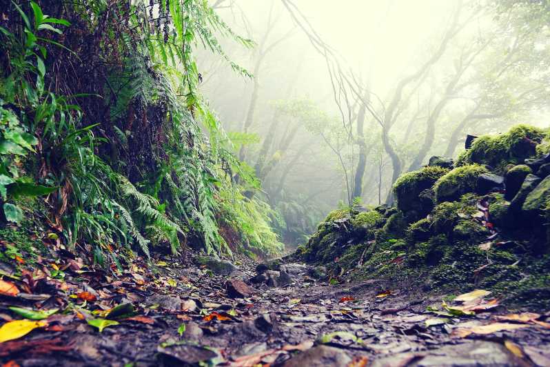 Tenerife: La Laguna & Anaga hike - Pickup and the bus ride: where the day can feel long
