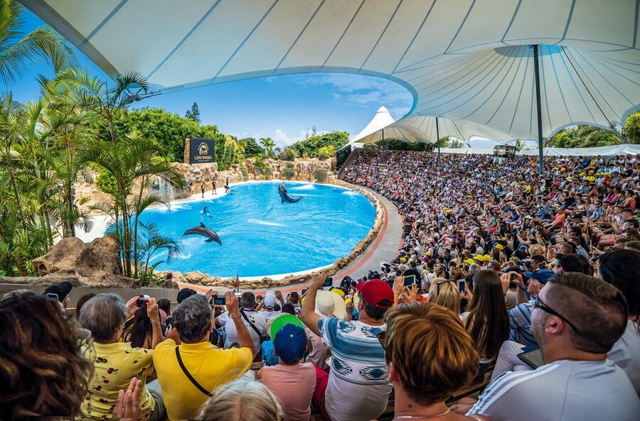 Tenerife: Loro Parque Entry Ticket - Key Things That Make Loro Parque Worth Your Time