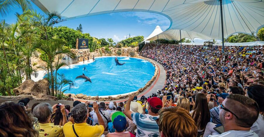 Tenerife: Loro Parque Entry Ticket - Loro Parque in One Day: What Your Ticket Really Delivers