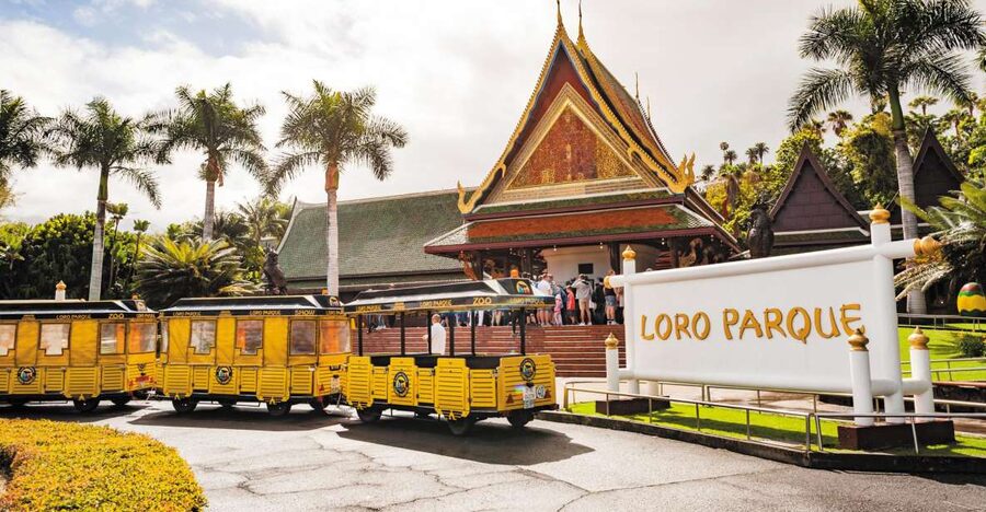 Tenerife: Loro Parque & Siam Park Entry Ticket with Transfer - Key Takeaways Before You Go