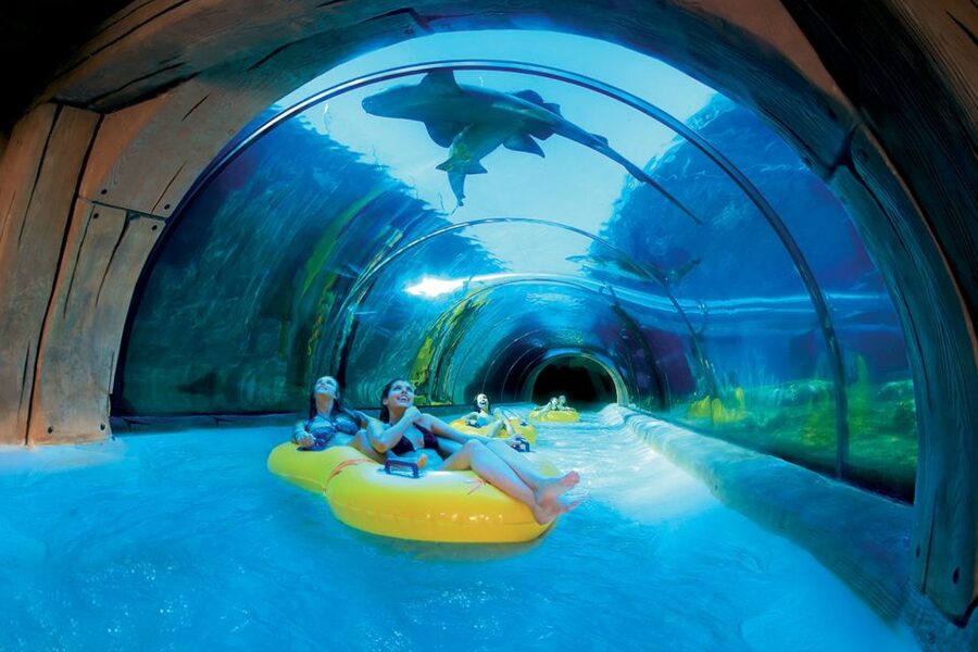 Tenerife: Loro Parque & Siam Park Entry Ticket with Transfer - The Fingerprint and QR Code System (Why Your Entry Might Feel Unique)