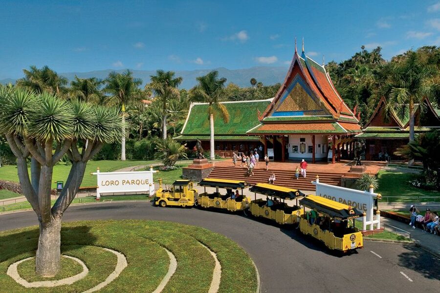 Tenerife: Loro Parque & Siam Park Entry Ticket with Transfer - What You Pay for Here, and What to Budget for On Top