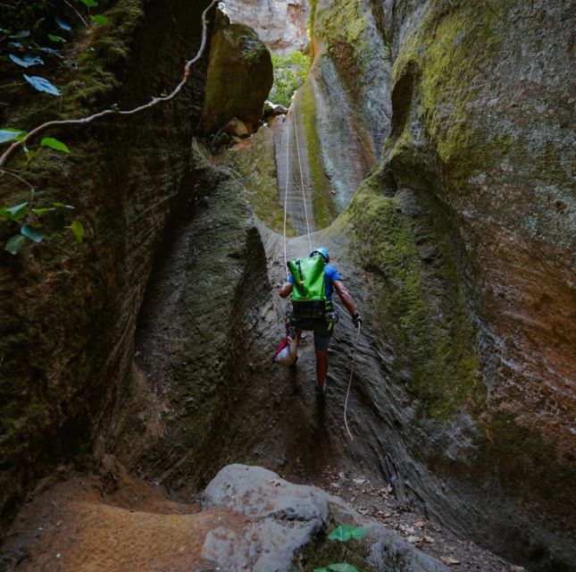 Tenerife: Los Arcos Canyoning Tour with Guide - Entering Los Arcos Canyoning: what makes this day worth 6 hours
