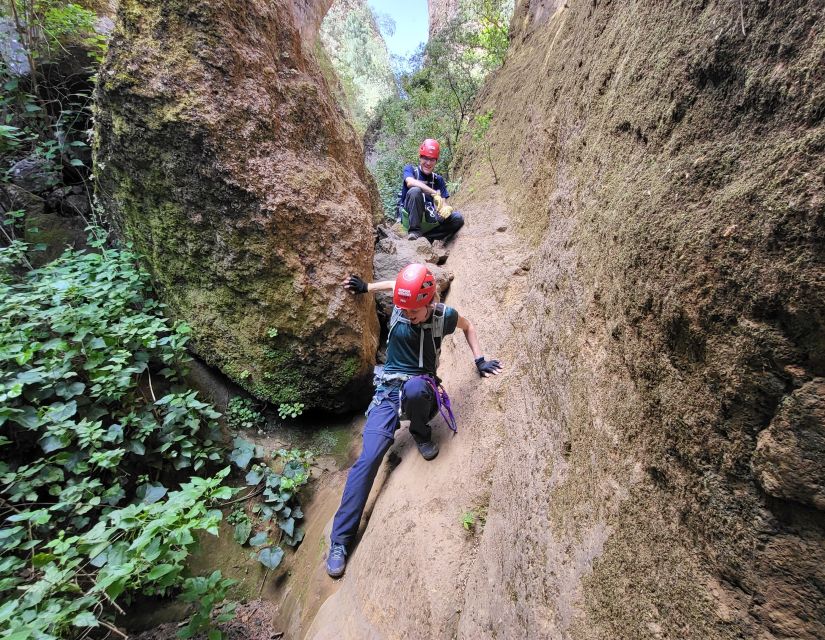 Tenerife: Los Arcos Canyoning Tour with Guide - Gorge geology: what you are learning while you’re using gravity