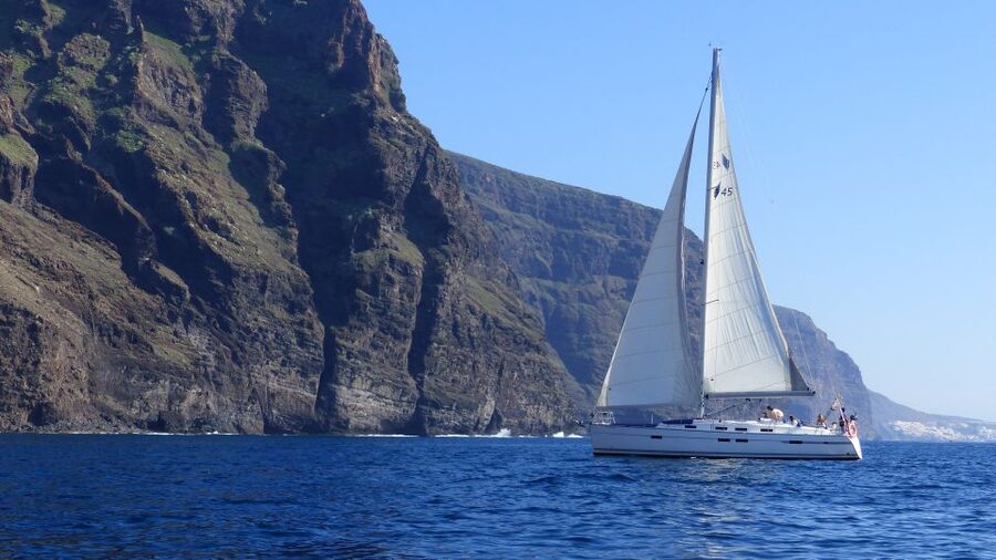 Tenerife: Los Gigantes Whale Watching Cruise by Sail Boat - What the $88 price includes, and why it can be good value