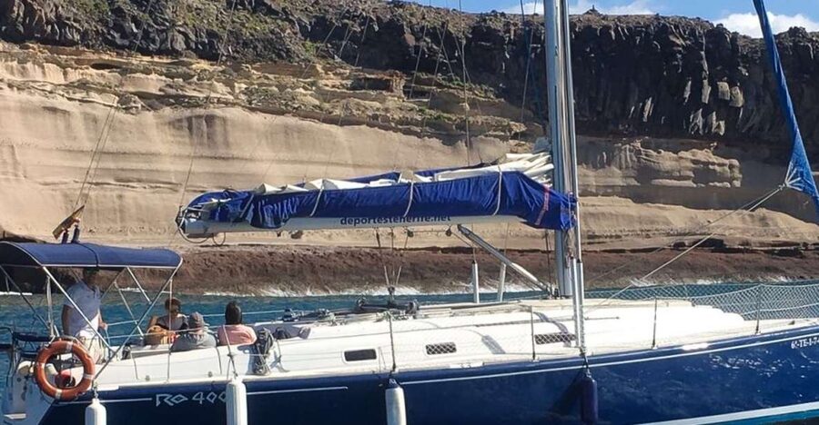 Tenerife: Luxury Private Whale & Dolphin Watching Tour - The Secluded Bay Stop, Plus Swimming With Turtles