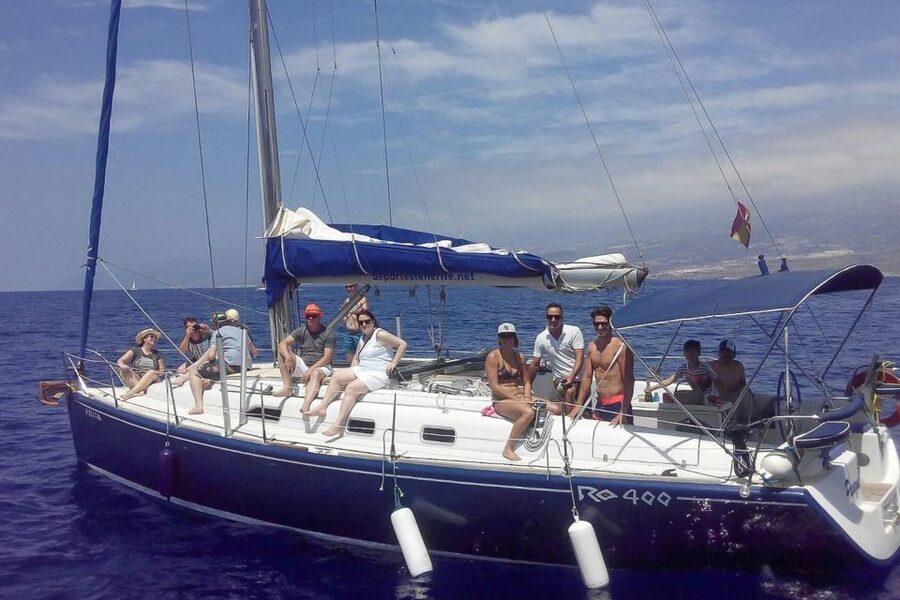 Tenerife: Luxury Private Whale & Dolphin Watching Tour - Tips to Get More From Your Half Day on the Water