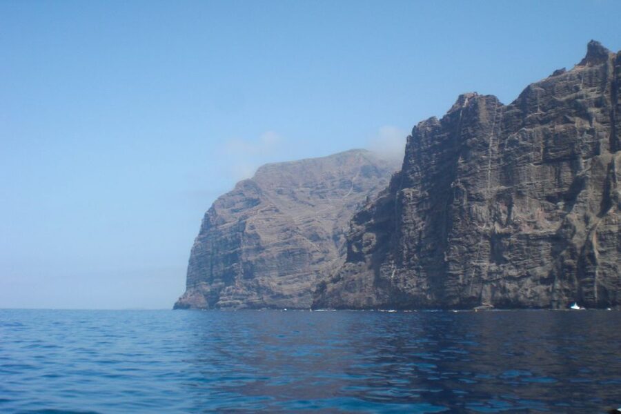 Tenerife: Luxury Private Whale & Dolphin Watching Tour - How Whale and Dolphin Spotting Actually Plays Out