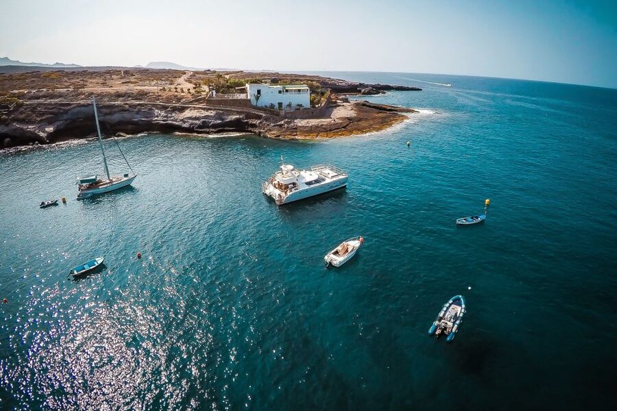 Tenerife: Marine-Life Tour with Transfer, Buffet and Drinks - Who This Trip Suits Best (And Who Might Skip It)