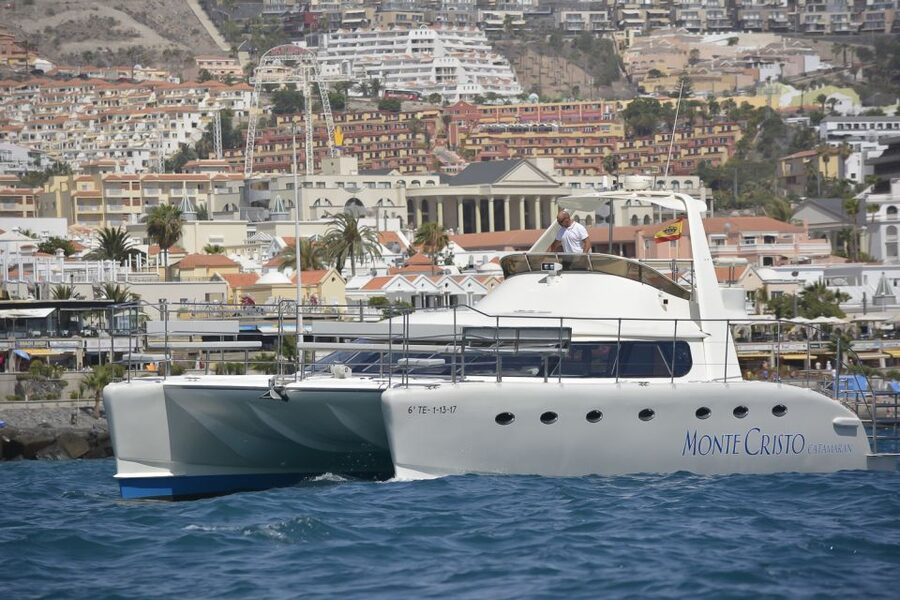 Tenerife: Marine-Life Tour with Transfer, Buffet and Drinks - On Board Monte Cristo Catamaran: Crew Style and How the Trip Feels
