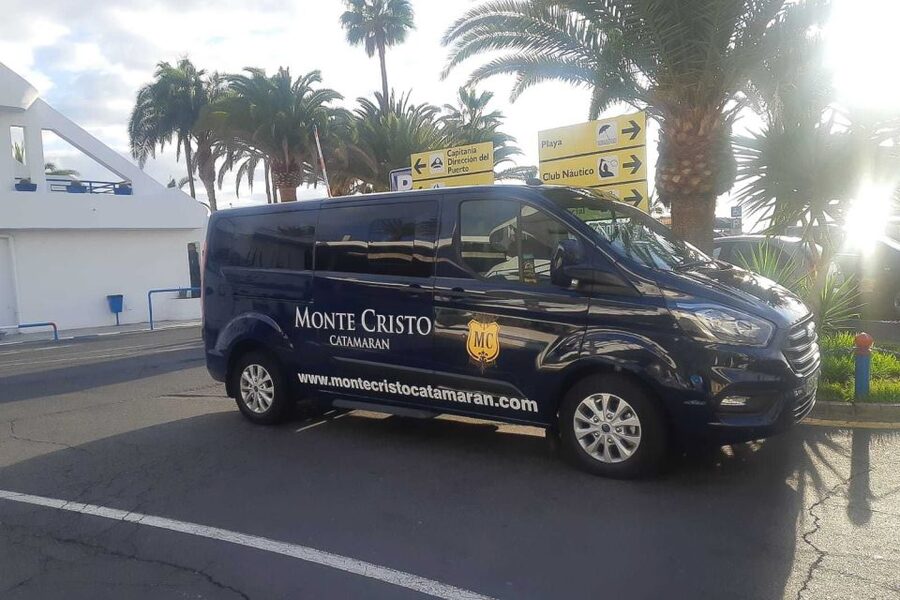 Tenerife: Marine-Life Tour with Transfer, Buffet and Drinks - Wildlife Time Off South Tenerife: What You’ll Watch For