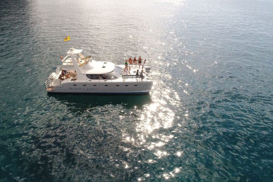 Tenerife: Marine-Life Tour with Transfer, Buffet and Drinks - Tapas Buffet and Drinks: What’s Included and Why It’s Good Value