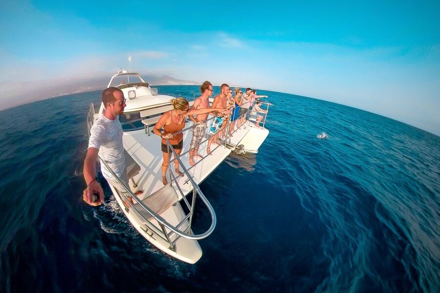 Tenerife: Marine-Life Tour with Transfer, Buffet and Drinks - Price and Value: Is $69 a Fair Deal?