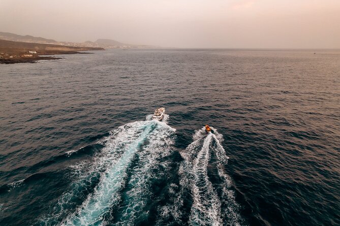 Tenerife Motor Boat Whale Watching & Snorkeling Experience - Why this small 10.8m boat experience feels better than big tours