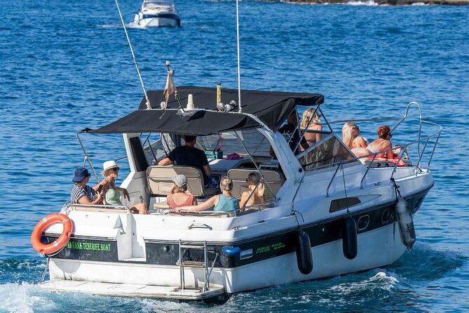 Tenerife Motor Boat Whale Watching & Snorkeling Experience - 2 hours for pilot whales and dolphins: what to expect and how to stay focused