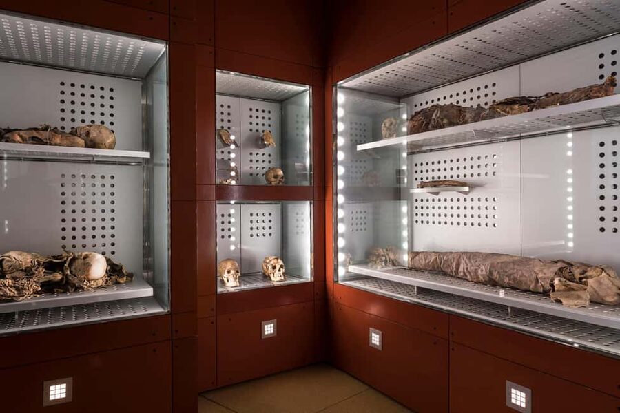Tenerife: MUNA Museum Admission Ticket and Teide Legend Tour - Key things to know before you go