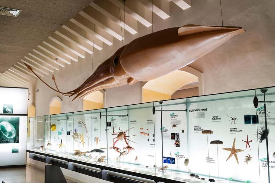 Tenerife: MUNA Museum Admission Ticket and Teide Legend Tour - A $9 combo that connects Guanches to Teide