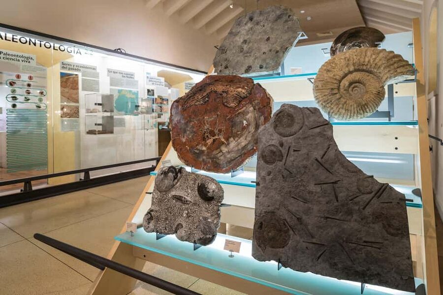 Tenerife: MUNA Museum Admission Ticket and Teide Legend Tour - Teide National Park on your own, viewpoints and volcanic process made visible