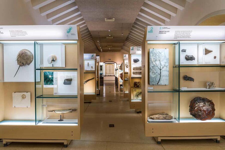 Tenerife: MUNA Museum Admission Ticket and Teide Legend Tour - Practicalities: smartphone setup, language choices, and the rules that matter