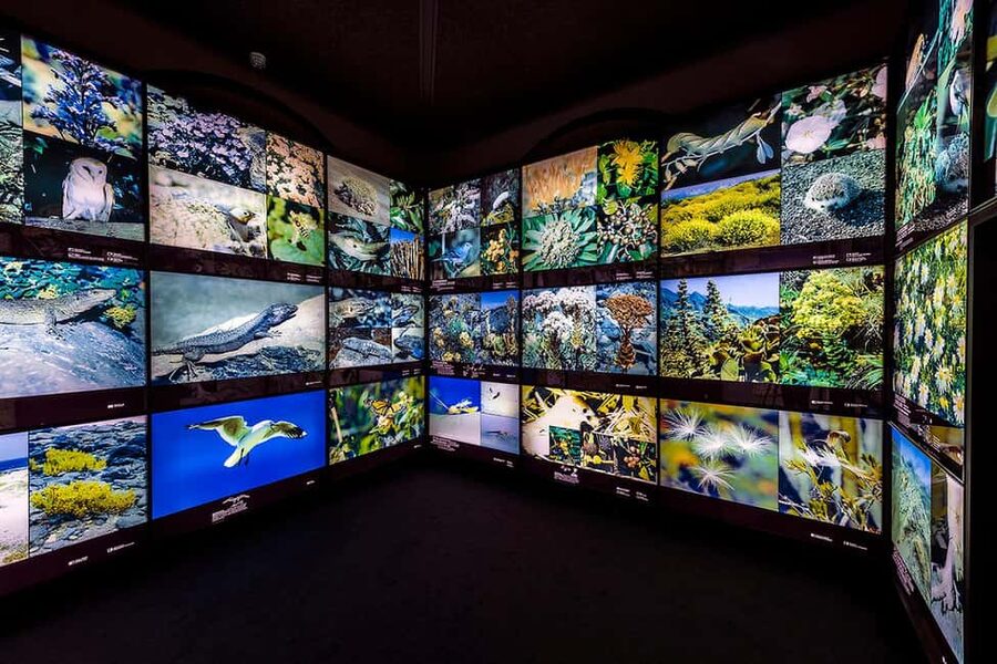 Tenerife: MUNA Museum Admission Ticket and Teide Legend Tour - Price and value, who gets the most out of it