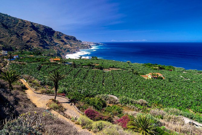 Tenerife North Private Tour: Through Villages and Ports - What You’ll Experience With Your Private Group