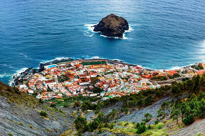 Tenerife North Private Tour: Through Villages and Ports - Electric Vehicle Comfort and Why It Changes the Day