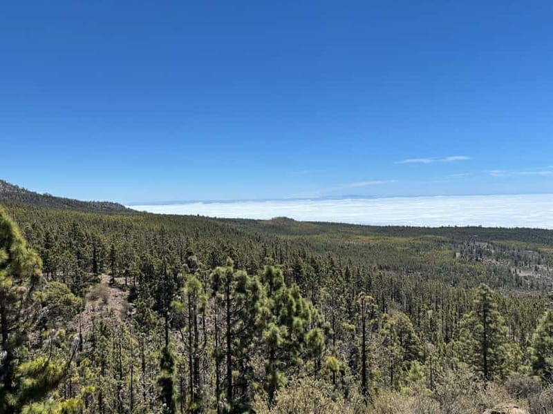 Tenerife: premium e-bike ride at Vilaflor- Lunar Landscape - Vilaflor Sets Up the Right Tenerife Feeling