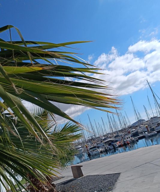 Tenerife: PRIVATE Catamaran cruise with Lunch and Drinks - Who should book this Tenerife catamaran cruise
