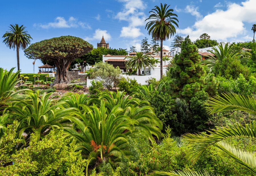Tenerife: Private Day Tour of the Island with Hotel Pickup - Key highlights worth getting excited about