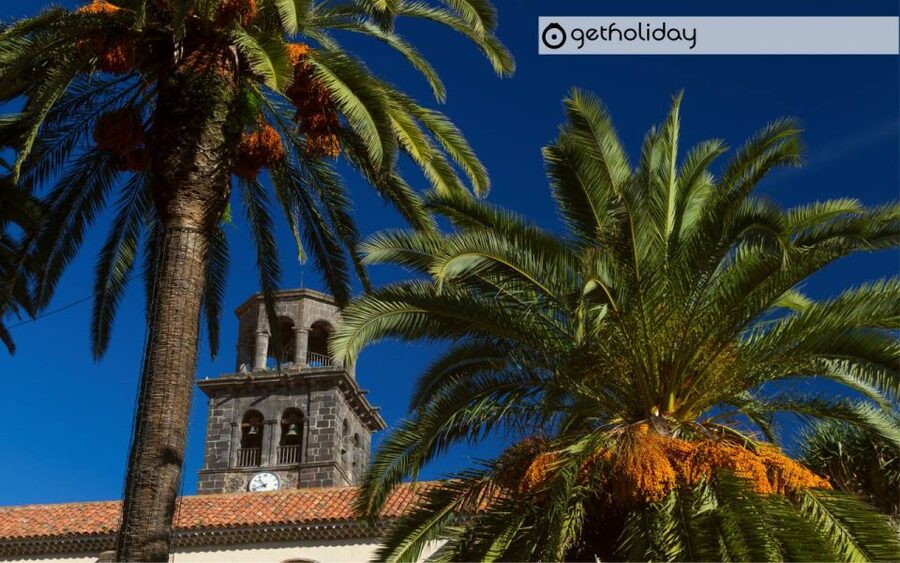 Tenerife: Private Day Trip with Hotel Pickup and Drop-off - Why the Mercedes V Class experience is more than a nice car