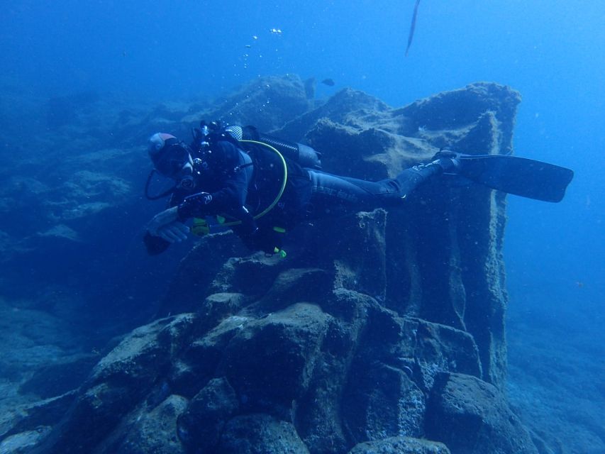 Tenerife : Private Dive for Beginners from a Boat - Small Group Size (Up to 8) and Why That Changes Everything