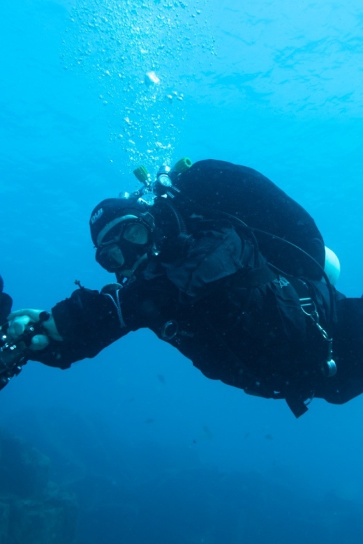Tenerife : Private Dive for Beginners from a Boat - The 3-Hour Plan: What Happens From Boarding to Your First Moments Underwater
