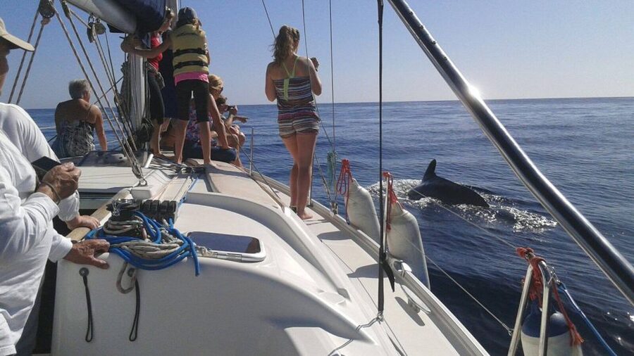Tenerife: Private or Group 3 Hour Sailing Cruise with Drinks - Drinks on deck: included cava, beer, and the easy way to relax