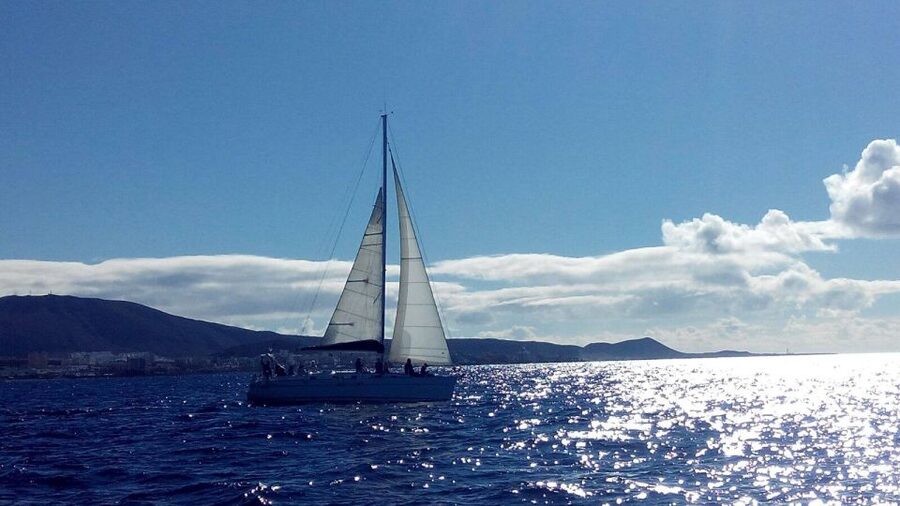 Tenerife: Private or Group 3 Hour Sailing Cruise with Drinks - 3-hour sailing along Costa Adeje: what you’ll actually be doing