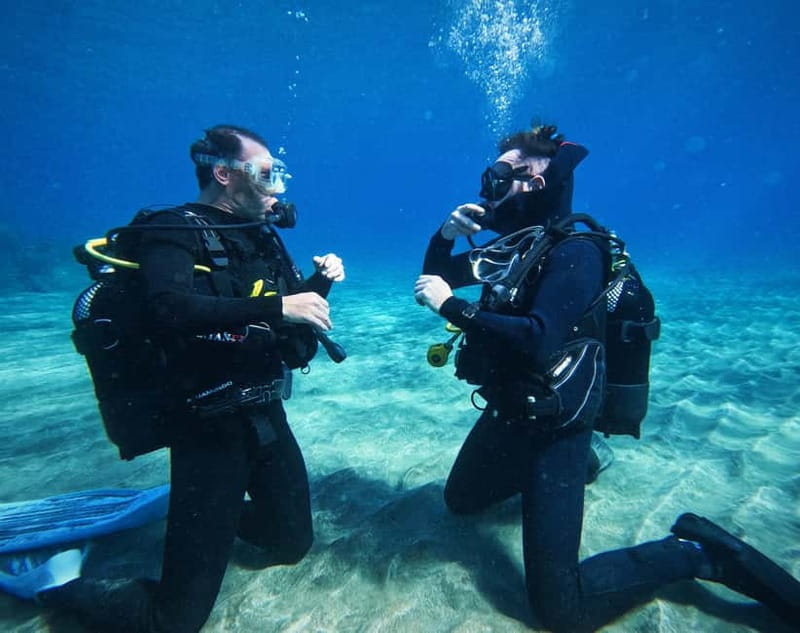 Tenerife: Private Scuba Diving–Certified Instructor & Photos - Safety briefing and gear check, what happens before you go underwater