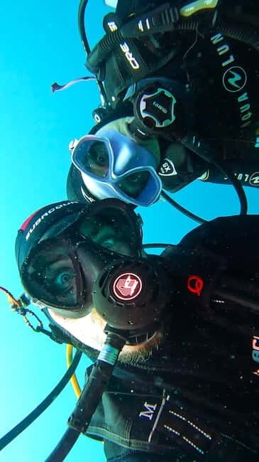 Tenerife: Private Scuba Diving–Certified Instructor & Photos - The land part: photo stop and marine life viewing in Tenerife’s south