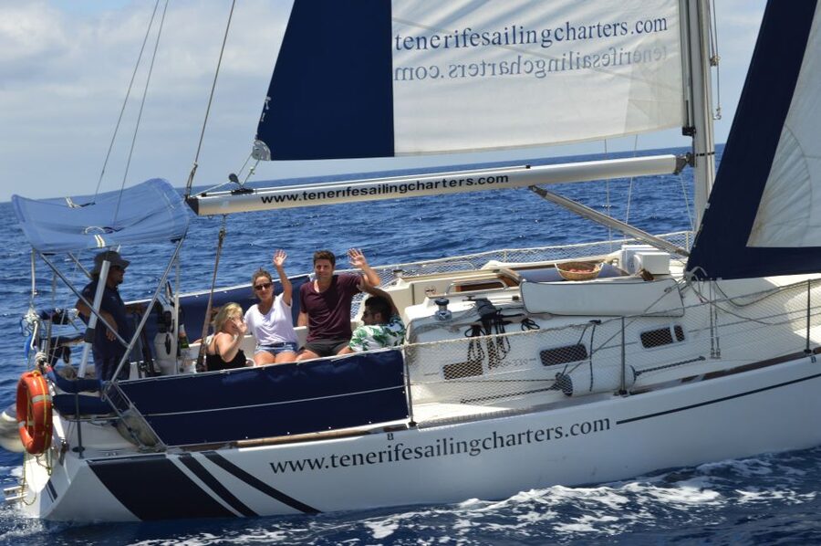 Tenerife: Private Sunset Charter with Drinks and Tapas - Wildlife Watching: Dolphins, Whales, and the Calm of Patience