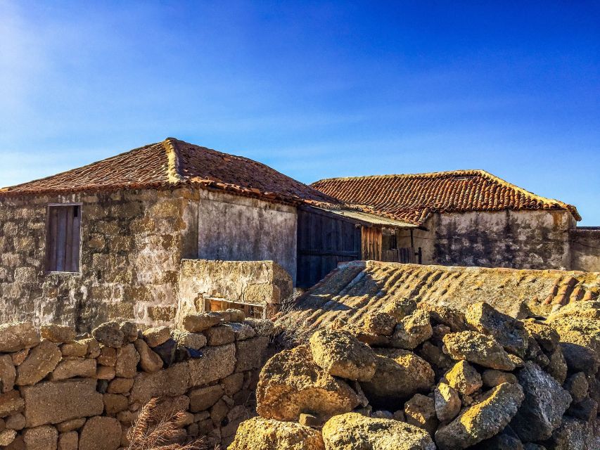 Tenerife Private Tour: Full-Day Volcanic South - Lunch break: fuel up locally for 1.5 hours