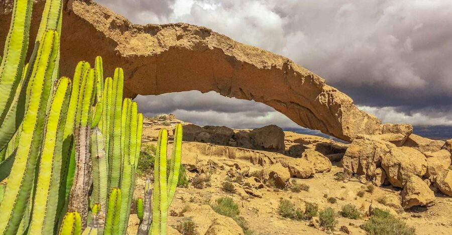 Tenerife Private Tour: Full-Day Volcanic South - Arico Nuevo: a volcanic village where the houses tell the story