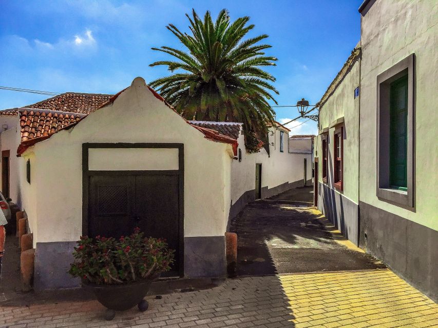 Tenerife Private Tour: Full-Day Volcanic South - A second lava stop that breaks up the long drives